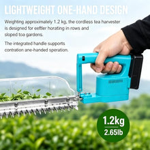 HiJiuAn 800w Hedge Trimmer, 11.8in Cutting Length, with 2 Batteries, Handheld Cordless Tea Harvesting Hedge Machine, for Gardening Modeling, Greening Pruning, Collecting Tea Leaves