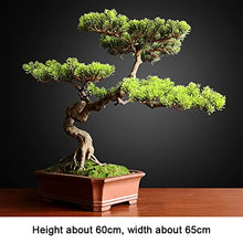 GRFIT Artificial Bonsai Artificial Bonsai Tree Faux Tree Bonsai Pine Tree Bonsai with Red Ceramic Pot Indoor Decoration House Plant for Desktop Home Decor for Home Office