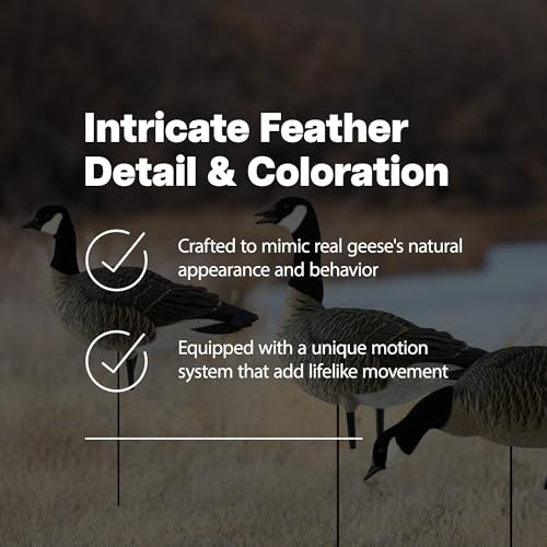 Avian-X Lessers 6 Piece Fusion Goose Decoy Set Multicolor