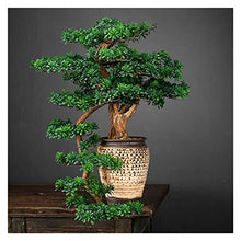 FAFACAI Small Bonsai 1 PC Welcome Pine Bonsai Desktop Decoration Living Room Home Dector Fake Tree Green Potted Plant Ornaments Scenery Fake Plant Greenery Decor for Desk (Color : E) (B)