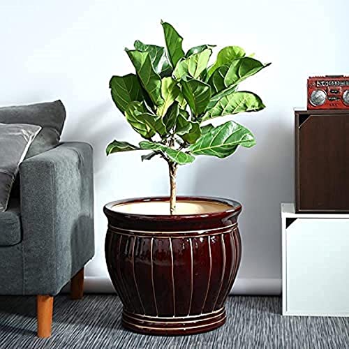 FAFACAI Large Diameter Bronze Gold Wire Garden Floor Large Green Plants Plant Pot, Outdoor Ceramic Flower Pot, Garden Breathable Flower Planter for Villa Corridor Aisle Garden (38 * 36cm)