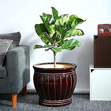 FAFACAI Large Diameter Bronze Gold Wire Garden Floor Large Green Plants Plant Pot, Outdoor Ceramic Flower Pot, Garden Breathable Flower Planter for Villa Corridor Aisle Garden (44 * 39cm)