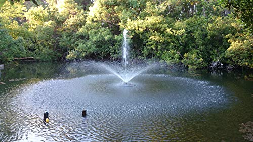 Fawn Lake SF75 Floating Fountain: 7 Patterns, 3/4 HP Pump, Energy-Efficient, Perfect for Ponds/Lakes, 110V Plug, 100ft Cable - Elevate Your Water Feature