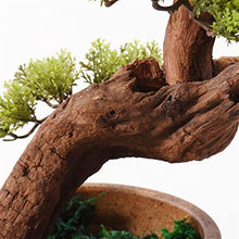 CLoxks Artificial Bonsai 24Inch Artificial Bonsai Welcoming Pine Tree, Simulation Potted Plant Decorative Bonsai with Ceramic Pots, Office, Shop Decorative Gifts for Home Office