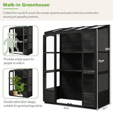 ANTSKU Wood Greenhouses for Outdoors, Cold Frame Greenhouse with 4 Independent Skylights & 2 Folding Middle Shelves, Large Walk in Lean to Green House for Backyard, Garden, 58" L x 29" W x78 H, Black