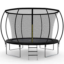 Simple Deluxe 14FT Trampoline with Safety Enclosure & Ladder Black