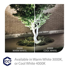 WAC Landscape Lighting, LED 120V Line Voltage Large Size Accent Light with Adjustable Beam Angle and Integral Brightness Control 4000K Cool White Built-in LED in Solid Brass Coated with Bronze