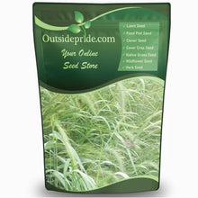 Outsidepride Southeast Native Grass Seed Mix - 25 lbs. Perennial Drought-Tolerant Blend of Warm & Cool Season Grass Seeds for Southern Lawns, Ideal for Wildlife, Erosion Control & Soil Improvement