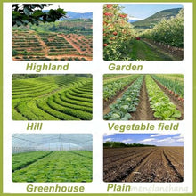 Precision Seeder Row Planter, Manual Seeder, Hand Push Outdoor Garden Seeder, Plants Hemp, Parsley Cabbage Radish, for Vegetable Small Gardens(Line 3)