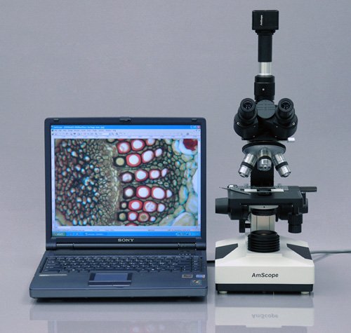AmScope Digital Trinocular Microscope 40X-1600X with Camera and Software