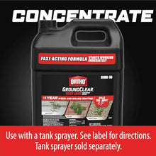 Ortho GroundClear Year Long Vegetation Killer2 Concentrate Bulk Pallet