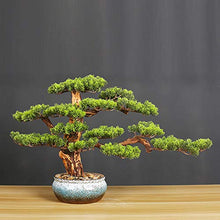 Bonsai Tree Faux Bonsai Tree Houseplant Pine Bonsai Plant Ceramics Round Pot Pebbles Used for Home Living Room Entrance Office Hotel Decoration Artificial Tree