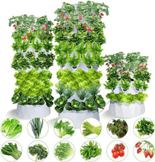 RWGOVLU Hydroponics Tower - Hydroponics Growing System for Indoor Herbs, Fruits and Vegetables - Aeroponic Tower with Hydrating Pump, Timer, Adapter, Seeding Bed ; Net Pots/1pc