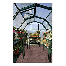 Palram Canopia Rion EcoGrow 2 Greenhouse 6x12 Ft Dark Green