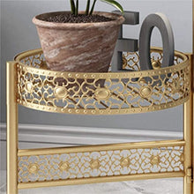 OJKJGYTF Plant standPlant Stand Iron Flower Stand Foldable Modern Flower Pot Stand Floor Flower Stand Home Decor Plant Shelves
