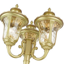 Livex Lighting 7866-33 Oxford Light Fixture, Soft Gold