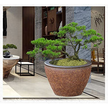 NYTFHMS Flower Pots Potted Pot Ceramic Flower Pot Courtyard Balcony Large Flower Pot Extra-Large Tree Flower Pot with Drainage Hole Flower Pot Outdoor Flower Pots,B-X-Large