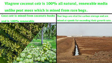 Viagrow Coconut Soilless Grow Media 11 lb 5KG Block