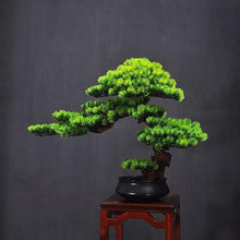 QWERAXZG Simulation Bonsai Welcome Pine Solid Wood Green Plant Decoration Living Room Entrance