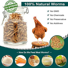 WORKPOINT 44LBS Dried Mealworms for Chickens, 100% Natural Premium Quality Non-GMO, Treats for Poultry, Chickens, Ducks and Geese