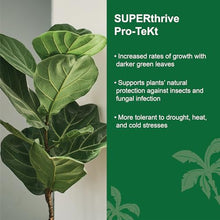 Dyna-Gro SUPERthrive Pro-TeKt Silicon Supplement 55 Gallon