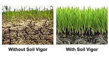 Soil Vigor Potassium Super Absorbent Polymer for Agriculture 45 Pounds White
