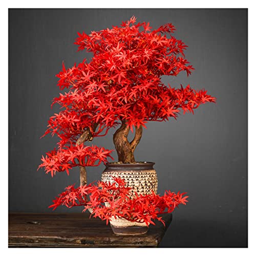 FAFACAI Small Bonsai 1 PC Welcome Pine Bonsai Desktop Decoration Living Room Home Dector Fake Tree Green Potted Plant Ornaments Scenery Fake Plant Greenery Decor for Desk (Color : E) (C)
