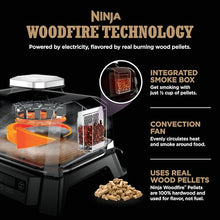 Ninja Woodfire Outdoor Grill & Smoker, 3-in-1 BBQ, Bake & Roast, OG301