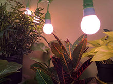 Miracle LED Powervine Seed to Flower Indoor Grow Light Kit Multi-Spectrum