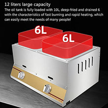 ERoomQ 12L Large Capacity Gas Fryer, Stainless Steel Fryer for Home and Commercial, Adjustable Firepower, with Baskets and Lids, for Chips Donuts Fish, Easy Clea,Horizontal Fryer,