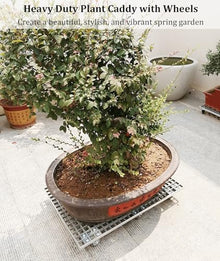 Laohucai Heavy Duty FRP Plant Caddy with Wheels, Large Potted Plant Caddy, Garden Flower Pot Planter Mover Planter Trolley with Lockable Casters, for Indoor Outdoor, Yards, Gardens, Balconie(77x50cm)