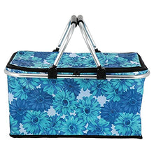 FMOPQ Large Capacity Lunch Basket Collapsible Insulated Picnic Bag Folding Basket Camping Bag (Color : B) (A)