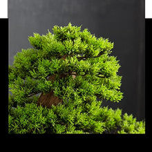 YXIANG56Q Fake Plants Simulation Bonsai Tree Welcome Pine Bonsai Zen Ornament Indoor Artificial Bonsai Tree Decoration Home Office Living Room, Height 17 Inch Bonsai Tree