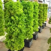 FLTRGO 15 Floors 45 Holes Hydroponics Tower, Aquaponics Grow System, Garden Tower Aeroponics Growing Kit for Herbs, Fruits and Vegetables with Hydrating Pump, Adapter, Net Pots