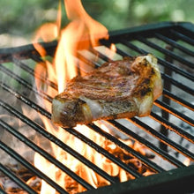 Charquery Grills Argentinean Iron Grill for asados with charcoal (Medium)