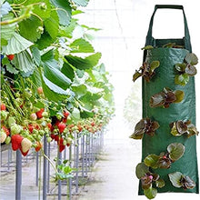 BBYYDS 48 Pockets Strawberry Planting Bags Garden Plant Grow Hanging Planter Pot Potato Plants Support for Veg Herbs Flowers