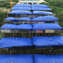 GDMING High Capacity Thicken Water Bladder, Software Outdoor Moveable Drought Resistance Watering The Ground Agricultural Irrigation Water Storage Bag, Customizable