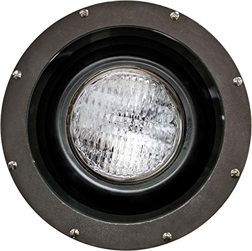Dabmar Lighting FG4300 Fiberglass PAR38 120V Light, Bronze Finish