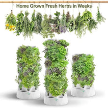 FLTRGO Hydroponics Tower, Indoor Garden Hydroponic Growing System, DIY Soilless Cultivation Garden Tower Aeroponics Growing Kit for Herbs, Fruits and Vegetables,48holes