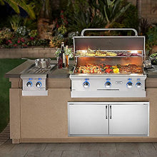 American Outdoor Grill L-series Drop-in Propane Gas Double Side Burner