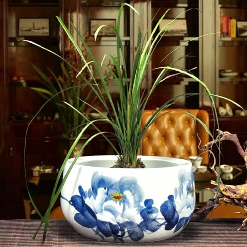 Flower pots Vintage Blue Planter Plant Pot Flower Pot Blue and White Planter for Indoor Water Plants Hand Painted Classical Flower Pot Chinese Culture-B||24 * 16cm (Color : B, Size : 24 * 16cm) (B 3