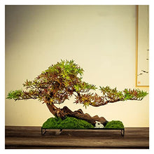 Artificial Bonsai Tree Home Decor Simulated Welcome Pine Bonsai Porch Living Room Decoration Indoor Pseudopotted Green Plant Tabletop Ornaments Gifts Office Decoration Bonsai (Color : B)