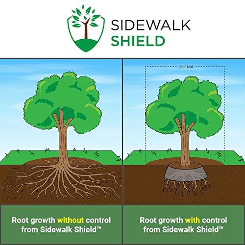 Sidewalk Shield Tree Root Barrier Standard Duty 30 Inch Depth 100 Feet