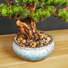 Bonsai Tree Faux Bonsai Tree Houseplant Pine Bonsai Plant Ceramics Round Pot Pebbles Used for Home Living Room Entrance Office Hotel Decoration Artificial Tree