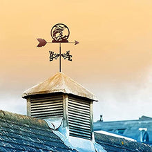 Fish Functional Weather Vane Wind Direction Indicator Weather Vane Roof Mount, Weathervane Measuring Tool Windblown Flying Roof Garden Metal Decorations