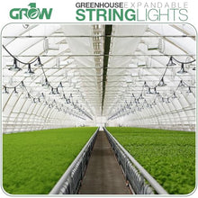 Grow1 Greenhouse Lights for Plants 100 Feet (48 Bulbs) IP 64 Rating Outdoor Grow Lights for Plants Waterproof, 6500K Spectrum Bulbs for Greenhouse Light