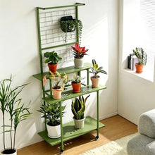 Hanging Plant Stand With Trellis & Hanging Bar Indoor Plant Display Shelf