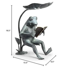 Reading Frog Birdfeeder with Solar LED Light