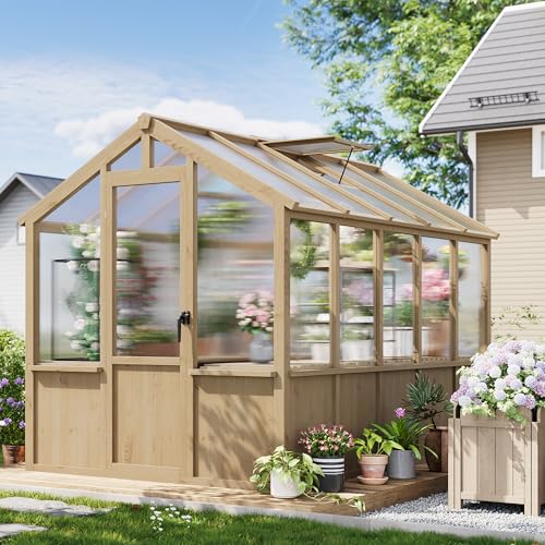 6x10 ft Greenhouse for Outdoors, Large Wooden Greenhouses with Adjustable Roof Vent & PC Panels & Lockable Door, Heavy Duty Spruce Frame Green House for Garden, Backyard, Patio