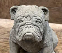 Concrete Massive Bulldog Figurine Real Size Bulldog Statue Solid Rock Pet Memorial